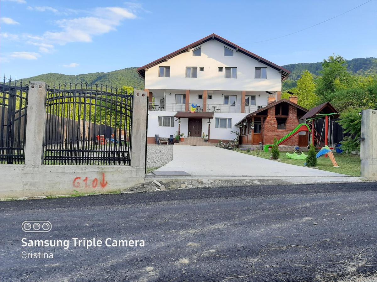 Casa Trache Hotel Calimanesti Exterior photo