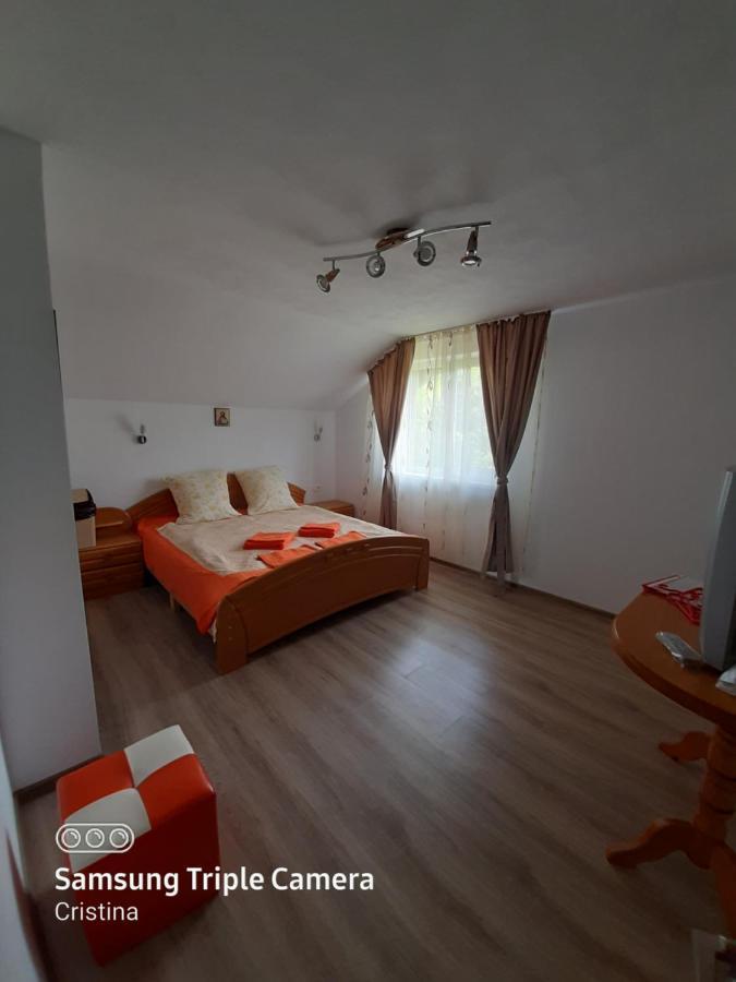 Casa Trache Hotel Calimanesti Exterior photo